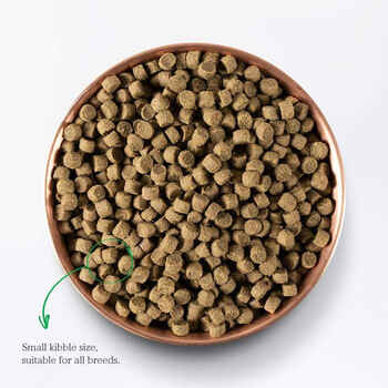Open Farm Grass-Fed Beef & Ancient Grains Dry Dog Food 4-lb