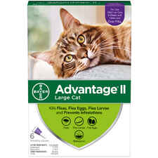 Advantage II 6pk Cat Over 9 lbs-product-tile