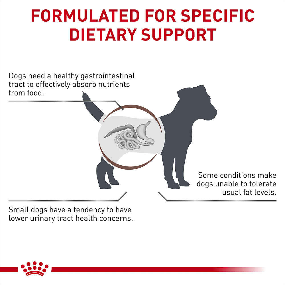 Royal Canin Veterinary Diet Canine Gastrointestinal Low Fat Small Breed Dry Dog Food