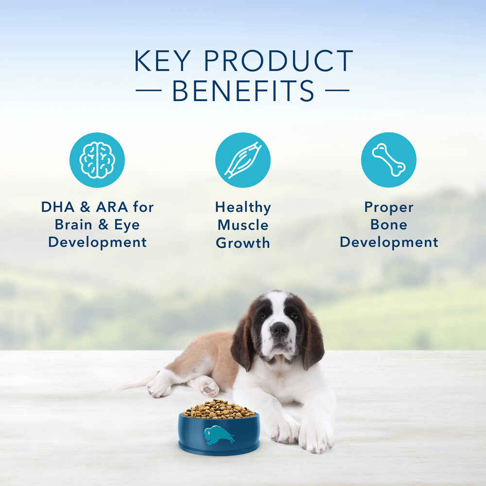 Blue Buffalo Large Breed Puppy Chicken & Brown Recipe Rice Dry Dog Food