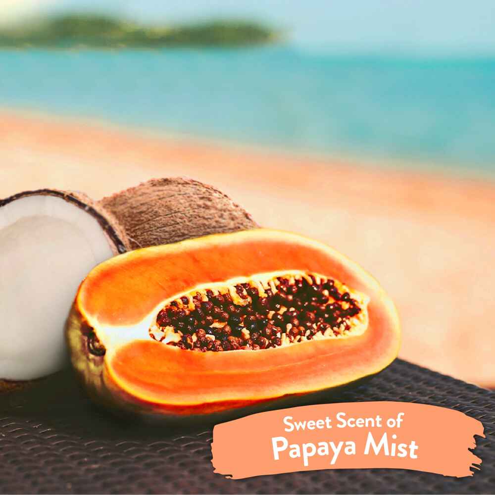 Tropiclean Papaya Mist Deodorizing Pet Spray