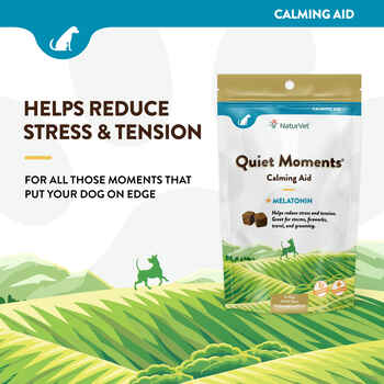 NaturVet Quiet Moments Calming Aid Plus Melatonin Supplement for Dogs Soft Chews 65 ct