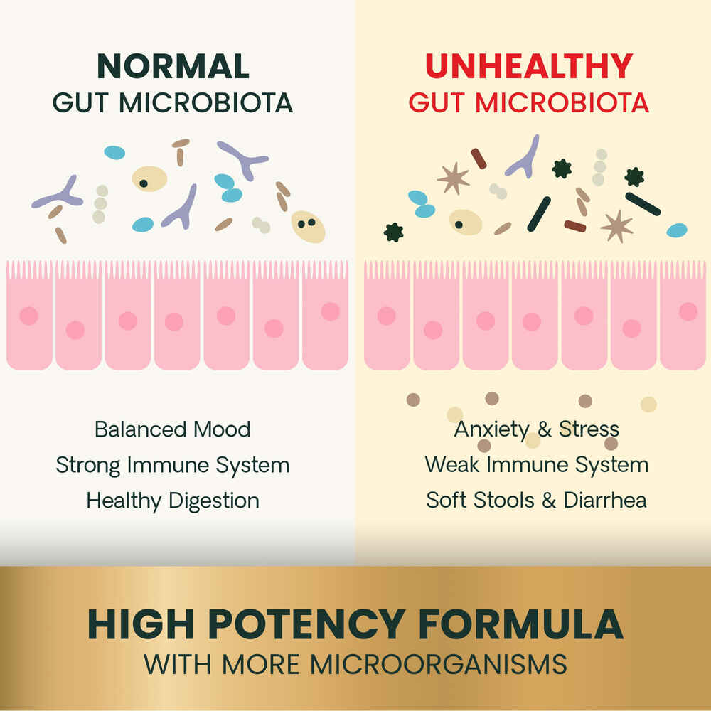 VetriScience Vetri Mega Probiotic