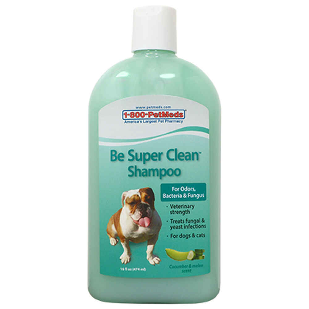 Be Super Clean Shampoo 16 oz for Dogs & Cats