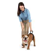 Rear Dog Lifting Harness-product-tile