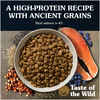 Taste of the Wild Ancient Stream with Ancient Grains Salmon Dry Dog Food