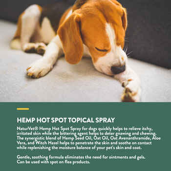NaturVet Hemp Hot Spot Spray with Aloe Vera for Dogs