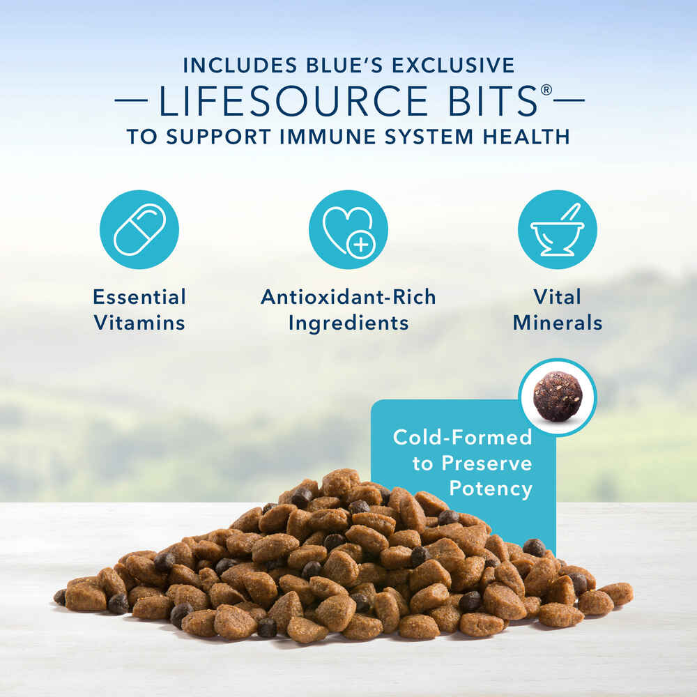 Blue Buffalo Life Protection Formula Large Breed Senior Chicken and Brown Rice Recipe Dry Dog Food