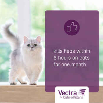 Vectra for Cats 2-9 lbs 3 pk (Tan)