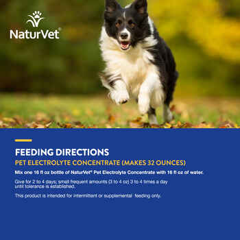 NaturVet Pet Electrolyte Liquid Concentrate for Dogs and Cats 16 oz