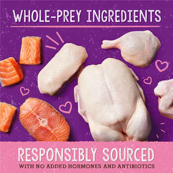 Stella & Chewy's Stella's Solutions Skin & Coat Duck & Salmon Freeze-Dried Raw Cat Food 7.5 oz