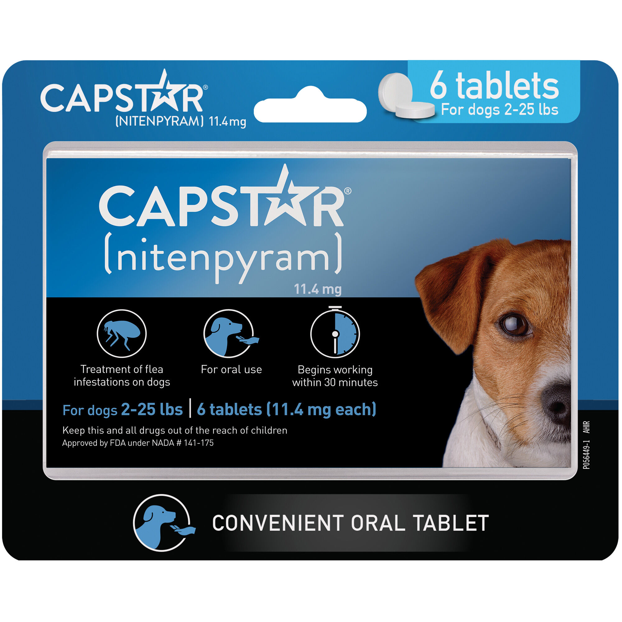 dog needs to lose 10 pounds