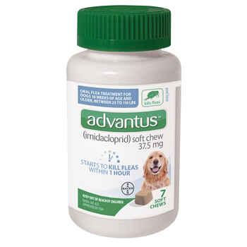 Advantus Oral Flea Treatment Soft Chews for Dogs 37.5 mg 7 ct product detail number 1.0