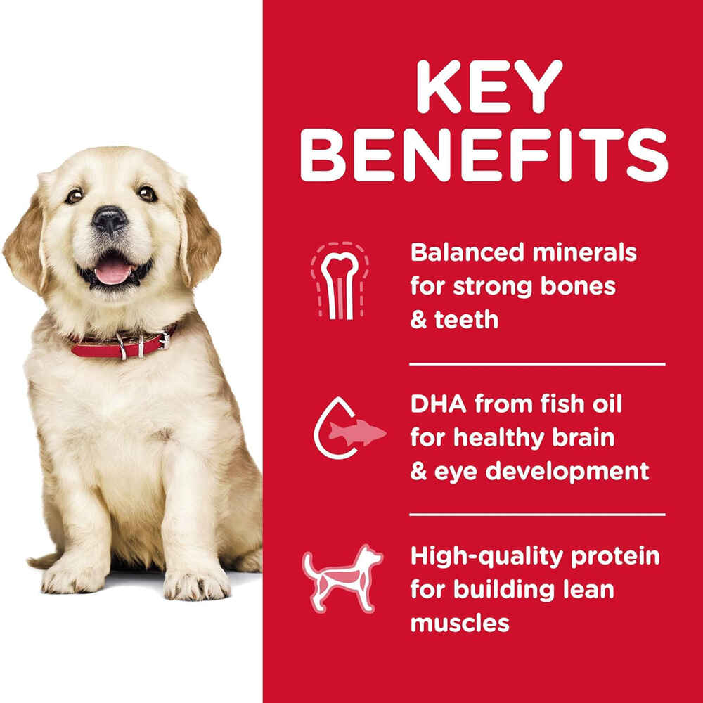 Hill's Science Diet Puppy Large Breed Lamb Meal & Brown Rice Dry Dog Food
