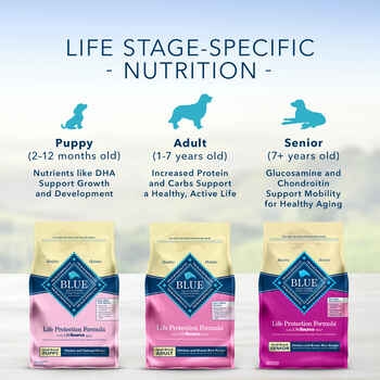Blue Buffalo Life Protection Formula Small Breed Adult Healthy Weight Chicken and Brown Rice Recipe Dry Dog Food 15 lb Bag