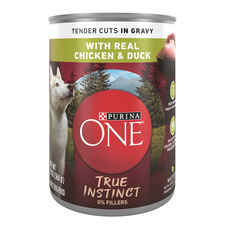 Purina ONE True Instinct Tender Cuts Chicken & Duck in Gravy Canned Wet Dog Food -product-tile