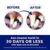 Naturel Promise Fresh Dental Clean Teeth Gel 4 oz