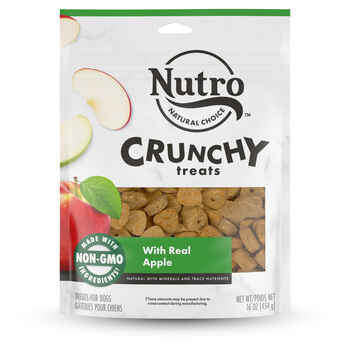 Nutro Crunchy Dog Treats with Real Apple 16 oz Bag product detail number 1.0