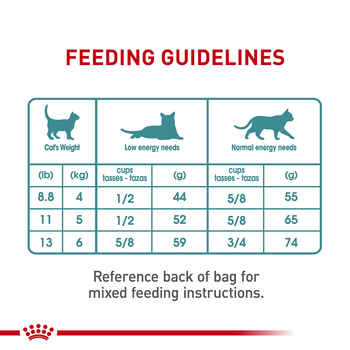 Royal Canin Feline Care Nutrition Hairball Care Adult Dry Cat Food - 6 lb Bag 