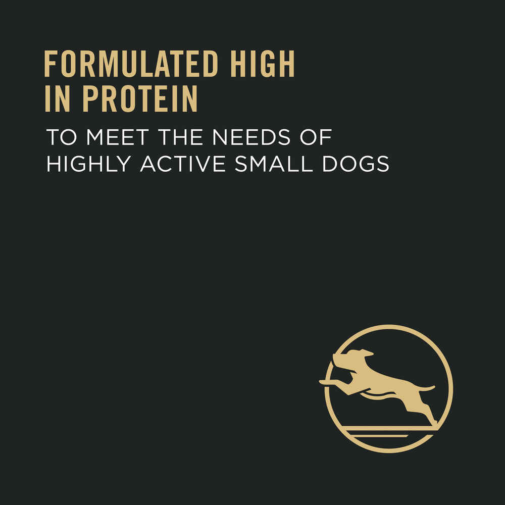 Purina Pro Plan Adult Small Breed Chicken & Rice Formula Dry Dog Food