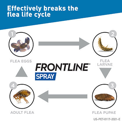 frontline spray ingredients