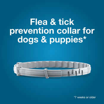 Seresto Small Dogs up to 18 lbs 15" collar length 2 pk Bundle