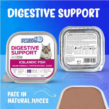 Forza10 Nutraceutic ActiWet Digestive Support Icelandic Fish Recipe Wet Cat Food 3.5 oz - Case of 32
