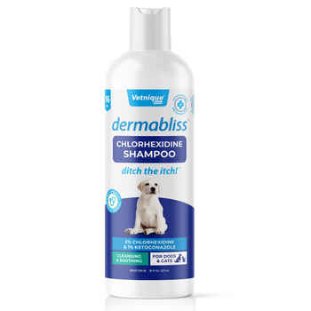 Dermabliss Chlorhexidine Shampoo - 16 oz Bottle product detail number 1.0