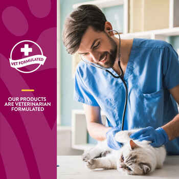 NaturVet Hip & Joint Plus Omegas Supplement for Cats