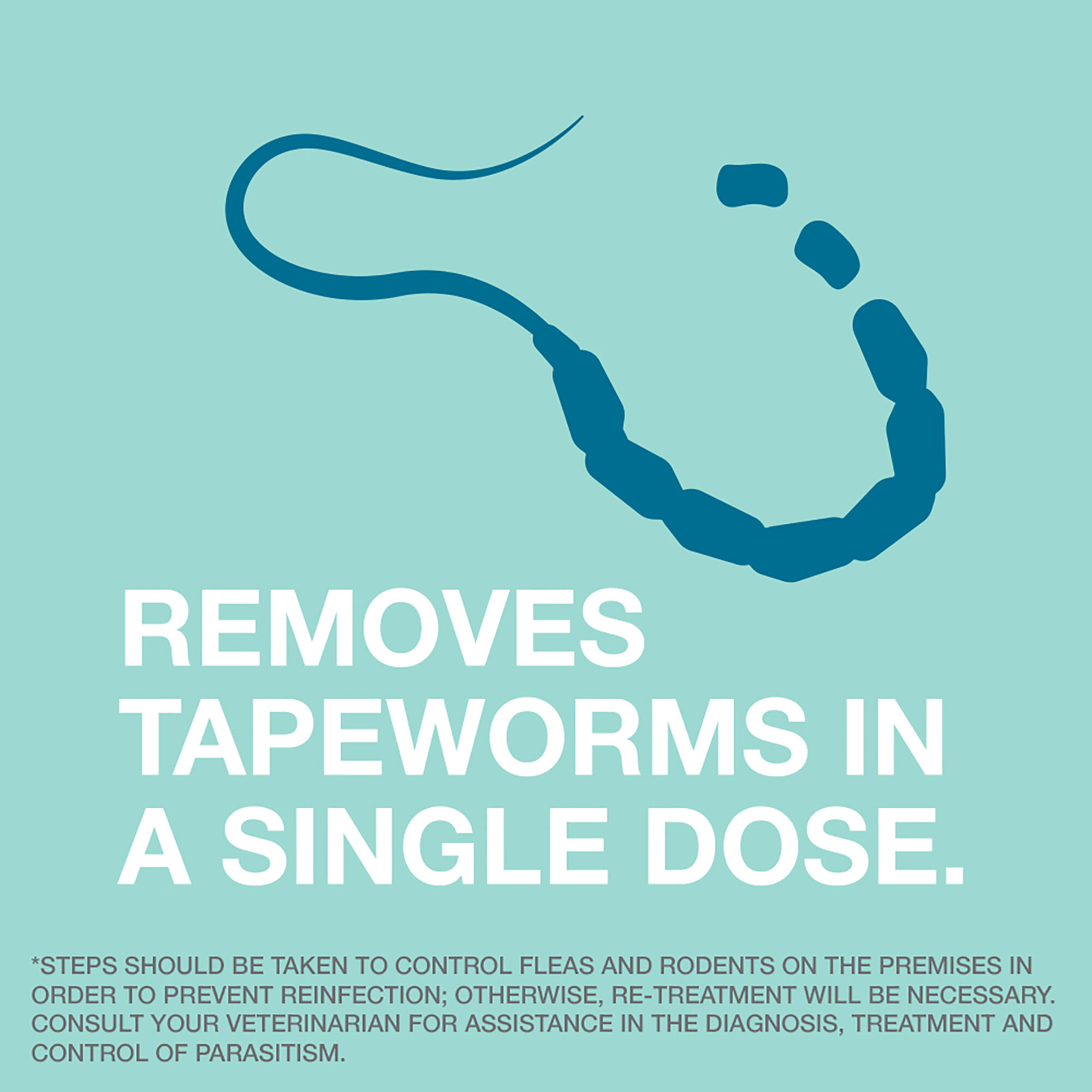 tapeworm medicine for cats and dogs