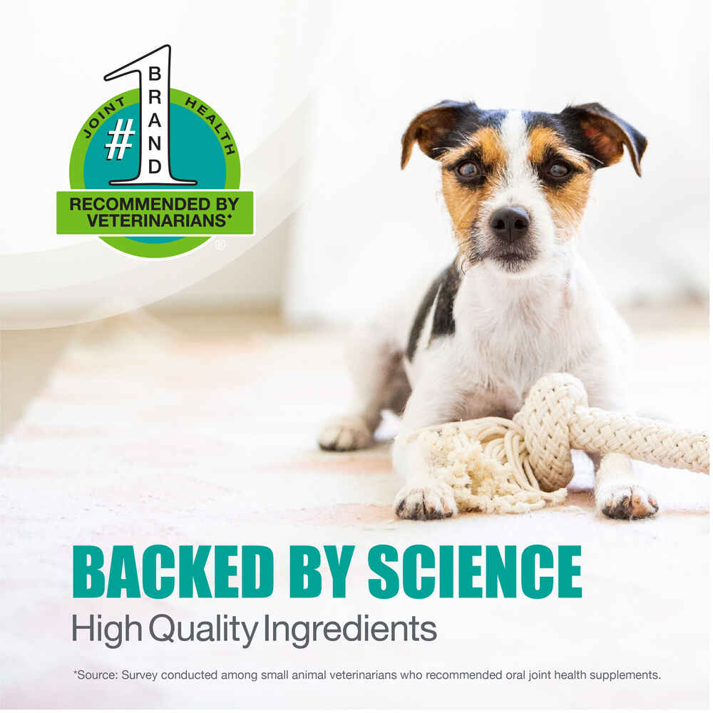 Can A Dog Overdose On Dasuquin