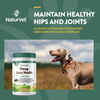 Hemp Joint Health Soft Chews 60 ct