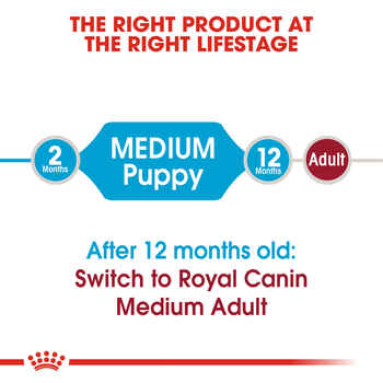 Royal Canin Size Health Nutrition Medium Breed Puppy Dry Dog Food - 6 lb Bag 