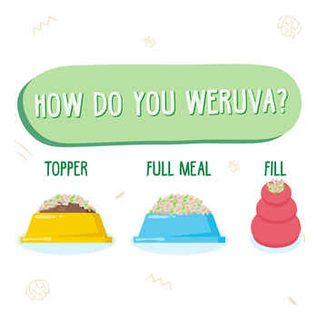 Weruva Cirque de la Mer with Tuna & Veggies in Pumpkin Soup for Dogs 24 5.5-oz Cans