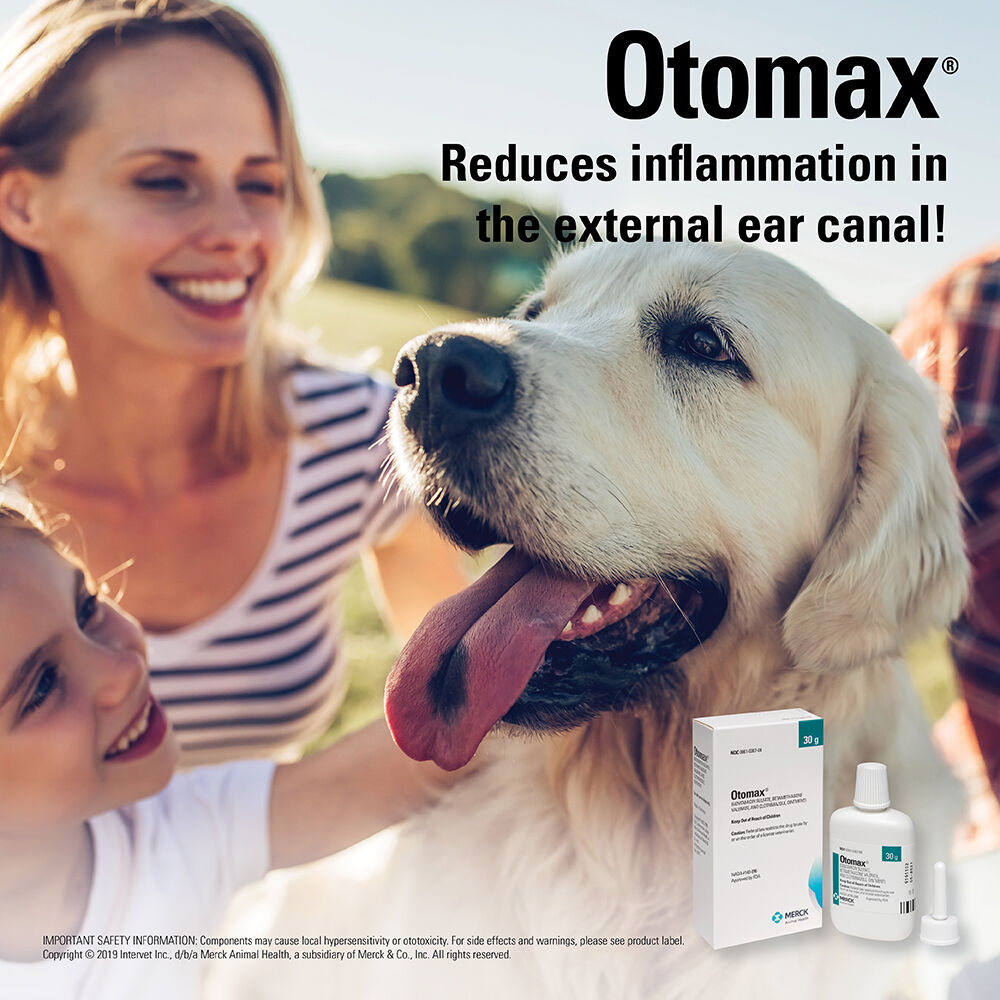 otomax without prescription
