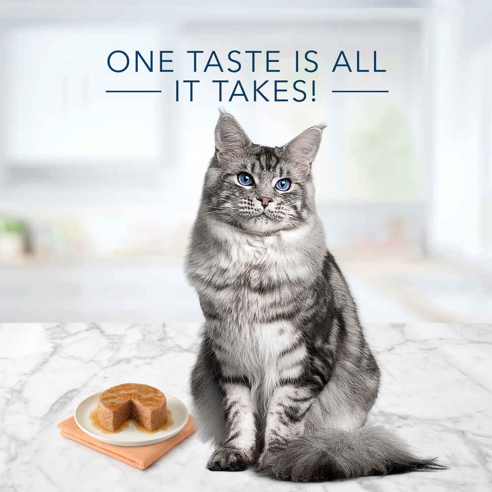 Blue Buffalo BLUE Tastefuls Mature Pate Chicken Entree Wet Cat Food