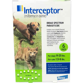 Interceptor 6pk Green Dog 11-25 lbs or Cat 1.5-6 lbs product detail number 1.0