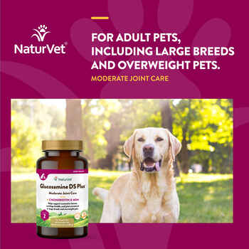 NaturVet Glucosamine DS Plus Level 2 Moderate Joint Care Support Supplement for Dogs and Cats Time Release Chewable Tablets 60 ct