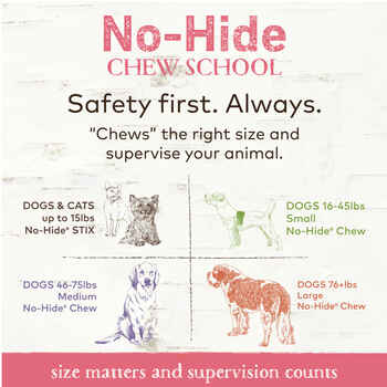 Earth Animal No-Hide® Wholesome Chews 2-pack