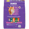 Iams ProActive Health Kitten Chicken Recipe Dry Cat Food 16 lb