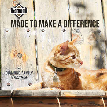 Diamond Maintenance Dry Cat Food