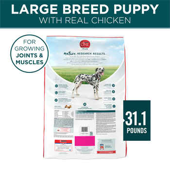 Purina ONE +Plus Natural Large Breed Puppy Formula Chicken Dry Puppy Food 31.1 lb Bag
