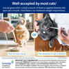 Senvelgo Oral Solution for Cats 15mg/mL 30 mL