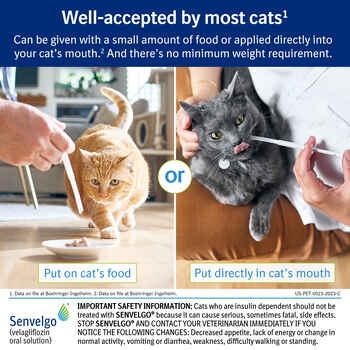 Senvelgo Oral Solution for Cats 15mg/mL 30 mL