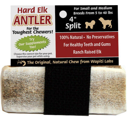 Elk Antlers for Dogs