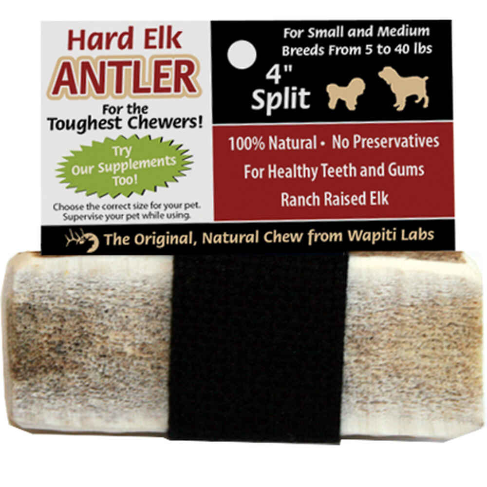 Elk Antlers for Dogs