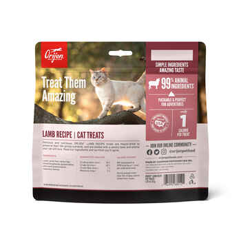 ORIJEN Grass-Fed Lamb Formula Freeze-Dried Cat Treats 1.25 oz Bag
