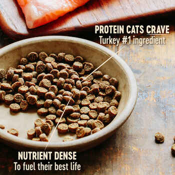 Wellness CORE Grain Free Original Deboned Turkey, Turkey Meal & Chicken Meal Recipe Dry Cat Food 2 lb Bag