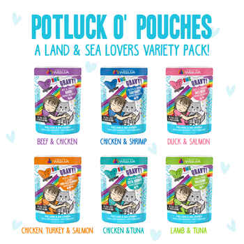 Weruva Grain Free BFF OMG Potluck O' Pouches Variety Pack Pouches For Cats 2.8oz Pouches, Pack of 12