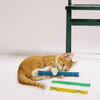 Pioneer Pet Nip Nibbler Cat Toy